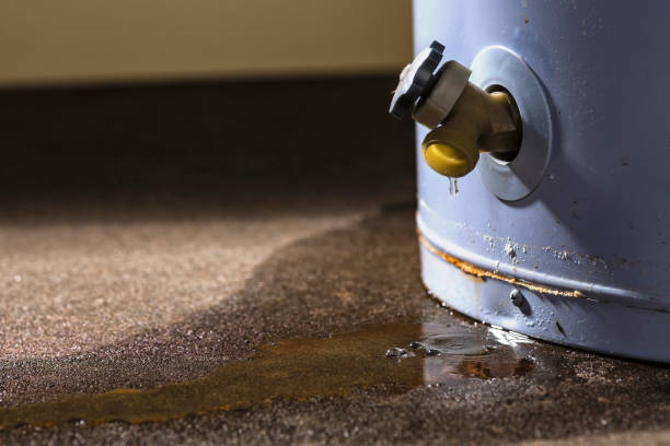 Sewage cleanup and water damage restoration in Land O Lakes, FL