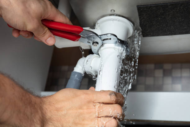 Best Residential water damage restoration  in Land O Lakes, FL