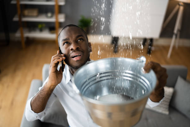 Best Residential water damage restoration  in Land O Lakes, FL