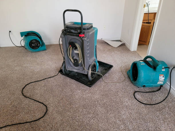 Carpet water damage restoration in Land O Lakes, FL