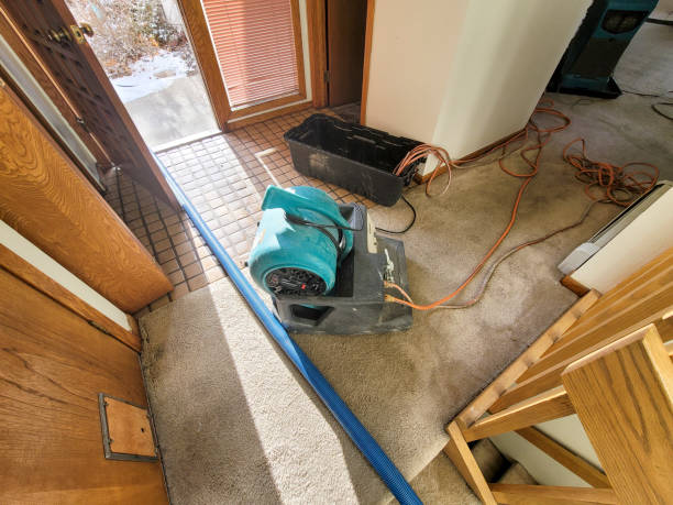 Best Flood damage cleanup  in Land O Lakes, FL