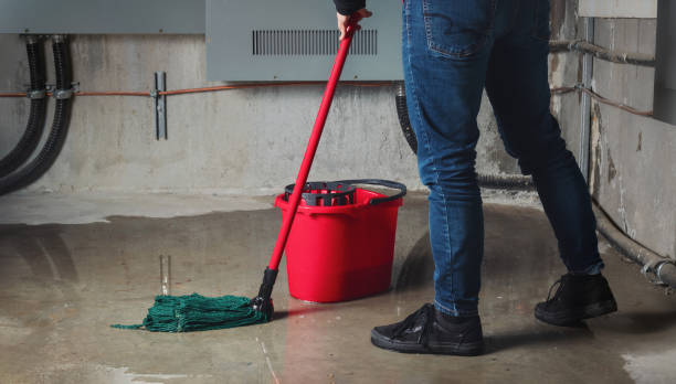 Best Emergency water damage restoration  in Land O Lakes, FL