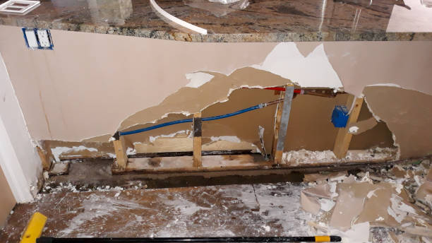  Land O Lakes, FL Water damage restoration Pros