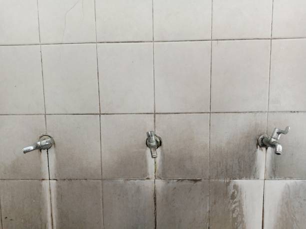 Reliable Land O Lakes, FL Water damage restoration Solutions