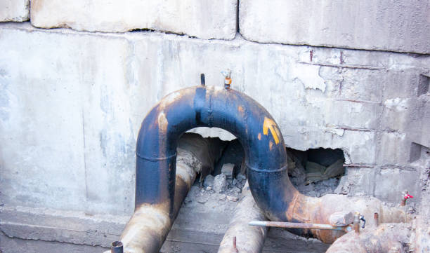 Best Local water damage restoration  in Land O Lakes, FL